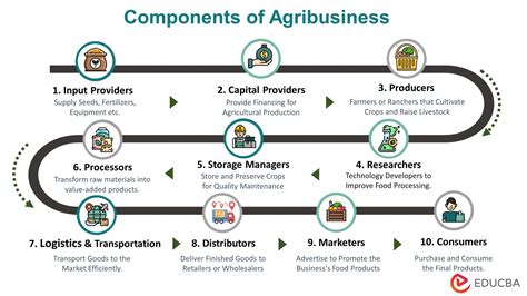 nab agribusiness loan calculator  Rural Bank provides tailored Agribusiness solutions for rural farming businesses